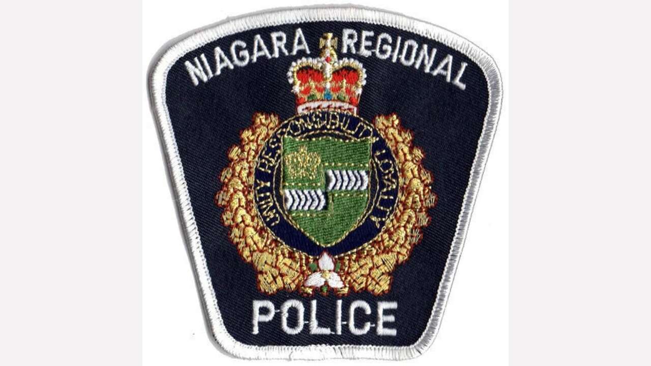 Police renew appeal in Welland horse cruelty case after one year 