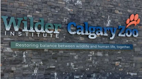 Grizzly bear briefly escapes enclosure at Calgary zoo