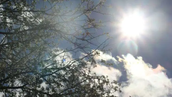 Warm weekend ahead for Calgary before showers return Sunday