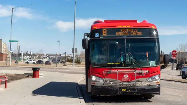 Calgary has paid more than $120k in traffic fines for city fleet vehicles since 2023