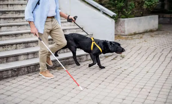 Canada and B.C. invest $840,000 to expand employment opportunities for people with vision loss 