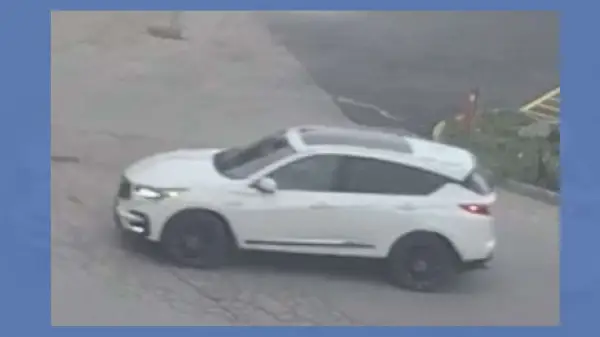 Hamilton Police investigate jewellery store robbery at CF Lime Ridge 