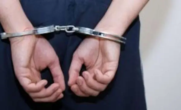Four Teenagers Charged in Multi-Community Muskoka Crime Spree