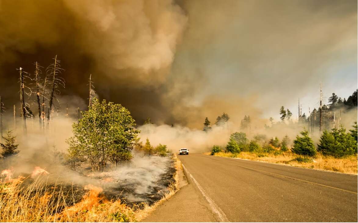  Federal government to match donations to Red Cross B.C. wildfire appeal 