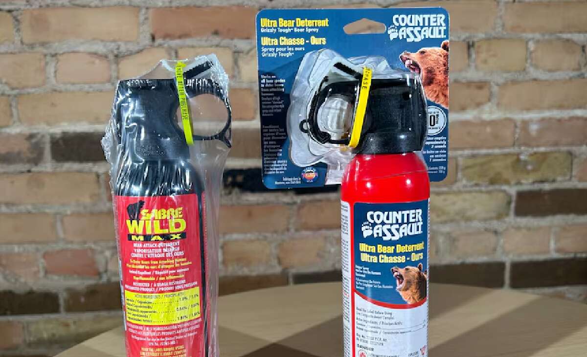 Suspect Arrested in Kitsilano Bear Spray Attacks