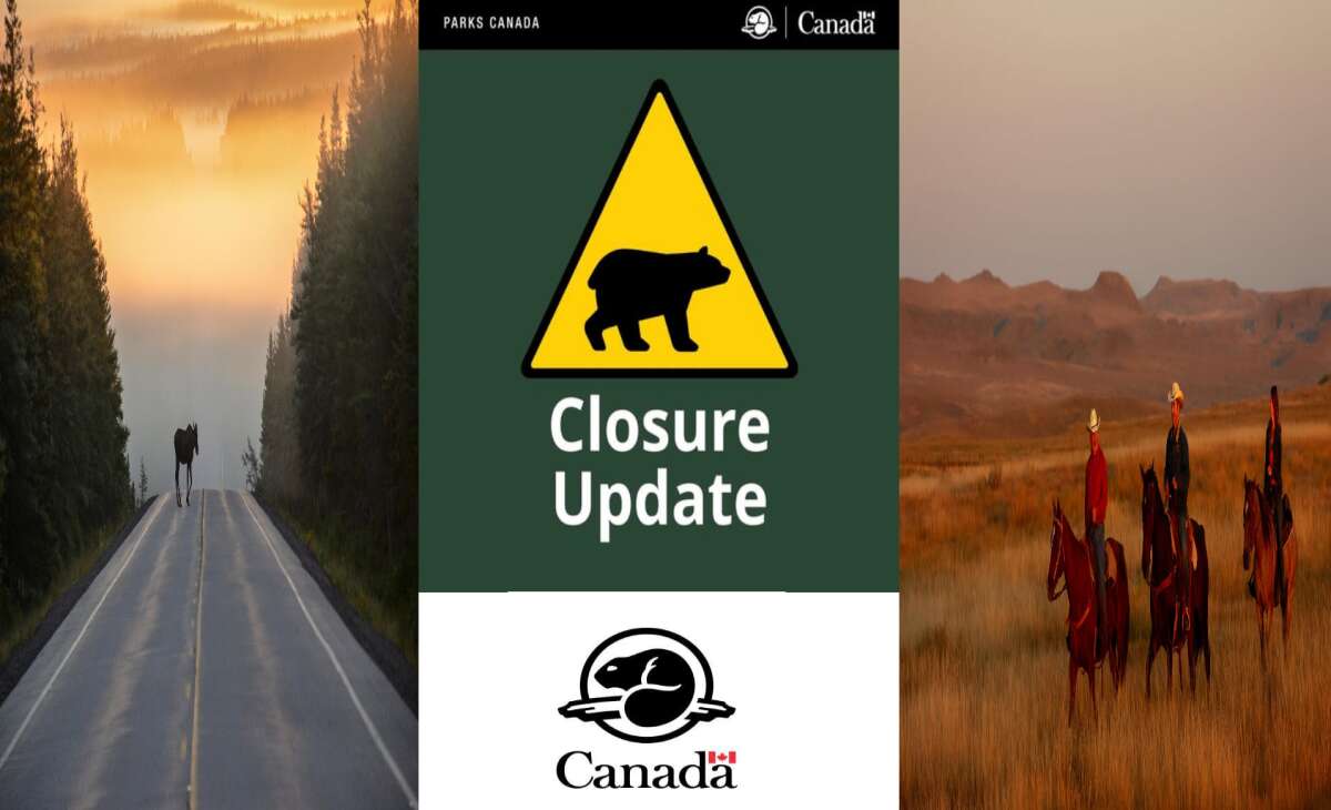 Cyprus Lake Campground closed due to increased bear activity 