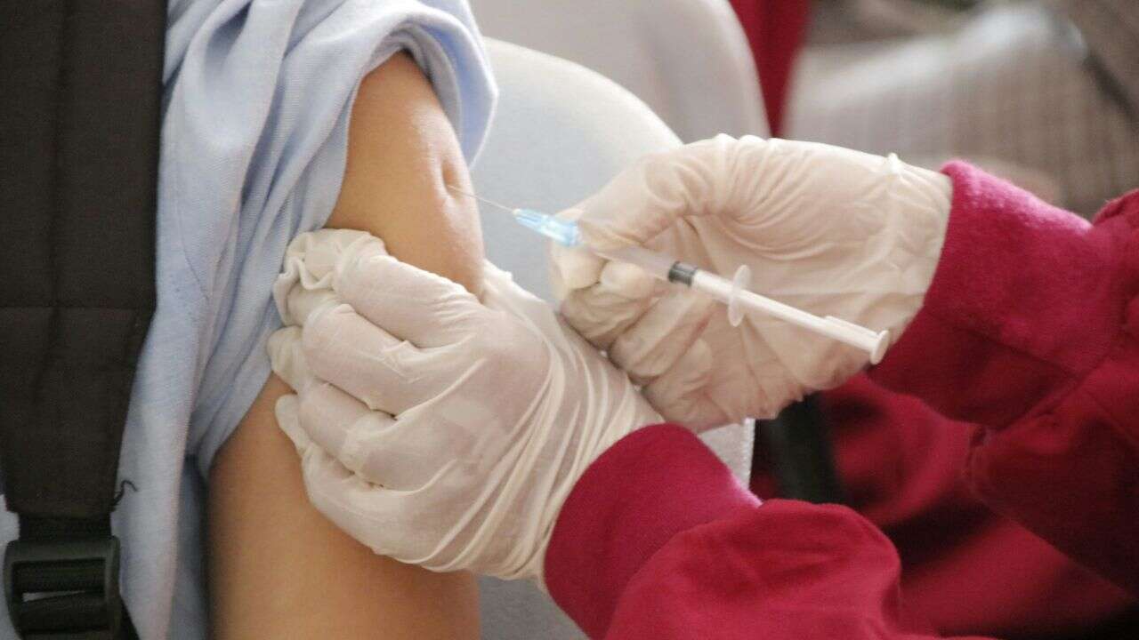 Alberta fall respiratory virus immunization program to launch Oct. 1