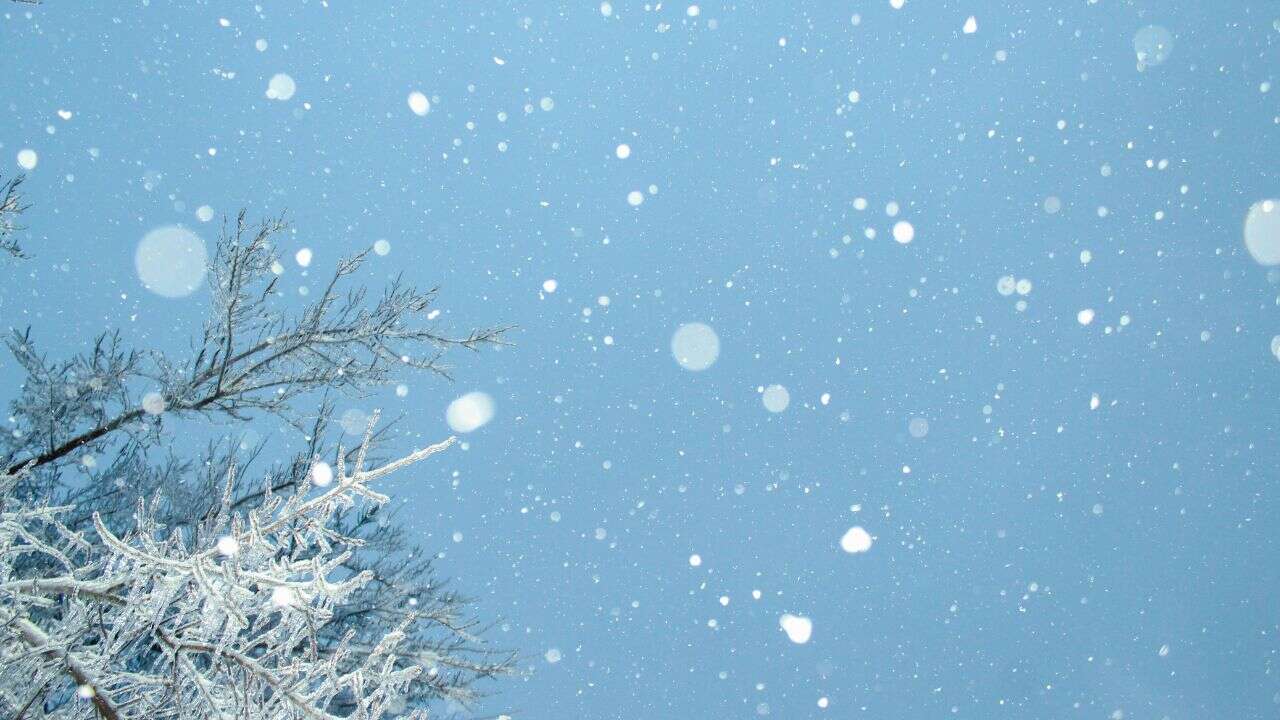 Alberta faces risk of drier winter conditions