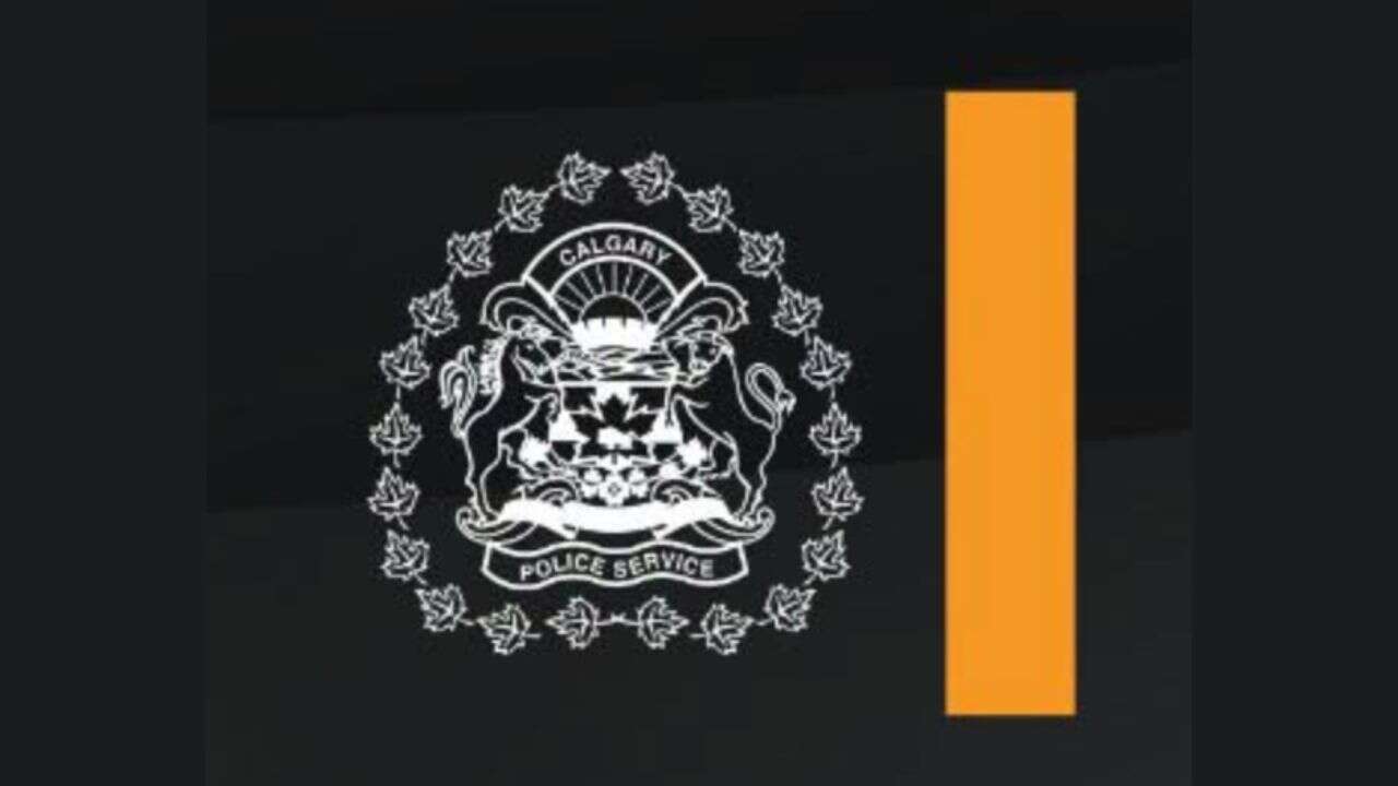 Calgary Police, Alberta Sheriffs make 15 arrests in joint warrant operation