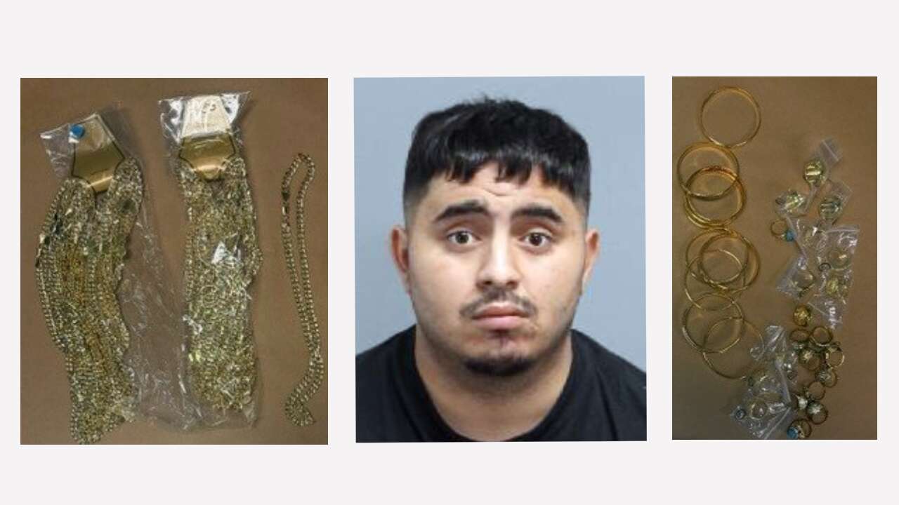 22-year-old charged in Toronto distraction theft targeting elderly man; female suspect wanted 