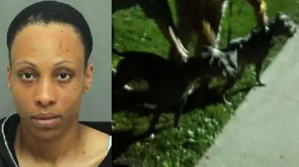 Wanted Toronto Woman Arrested After Dog Attack