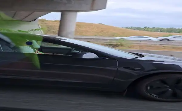 Tesla driver fined after allegedly falling asleep behind the wheel on Highway 1 