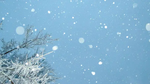 Alberta faces risk of drier winter conditions