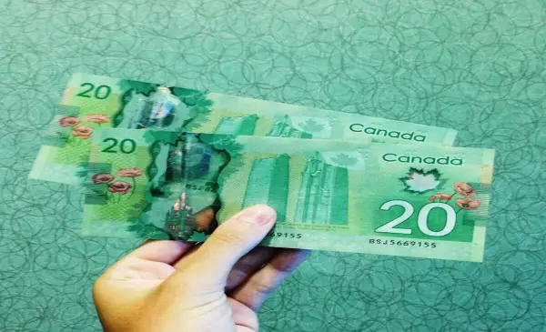  RBC survey finds 1 in 5 parents of 35- to 40-year-olds still helping with bills