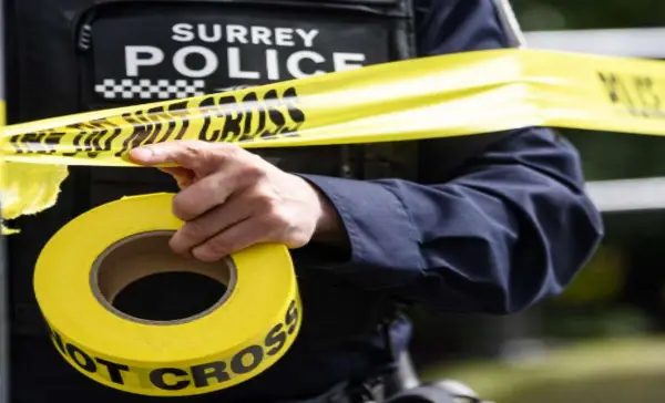  37-year-old man charged after alleged assault and knife chase in South Surrey